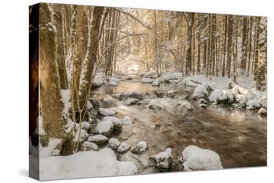 Stolen Beauty Photographic Print Philippe Sainte Laudy Art Com