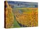 Stoller Vineyard, Dundee, Yamhill County, Willamette Valley, Oregon, Usa-Janis Miglavs-Premier Image Canvas