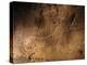 Stone-age Cave Art, Asturias, Spain-Javier Trueba-Premier Image Canvas