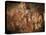 Stone-age Cave Paintings, Asturias, Spain-Javier Trueba-Premier Image Canvas