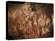 Stone-age Cave Paintings, Asturias, Spain-Javier Trueba-Premier Image Canvas