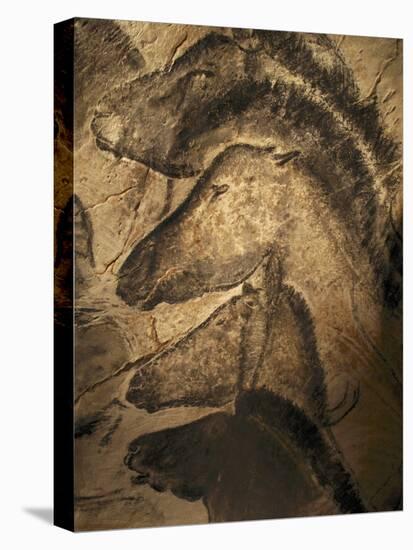 Stone-age Cave Paintings, Chauvet, France-Javier Trueba-Premier Image Canvas