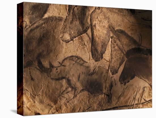 Stone-age Cave Paintings, Chauvet, France-Javier Trueba-Premier Image Canvas