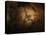 Stone-age Cave Paintings, Chauvet, France-Javier Trueba-Premier Image Canvas