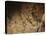 Stone-age Cave Paintings, Lascaux, France-Javier Trueba-Premier Image Canvas