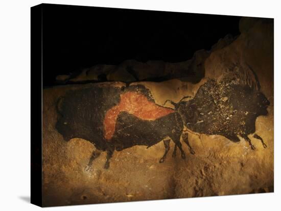 Stone-age Cave Paintings, Lascaux, France-Javier Trueba-Premier Image Canvas