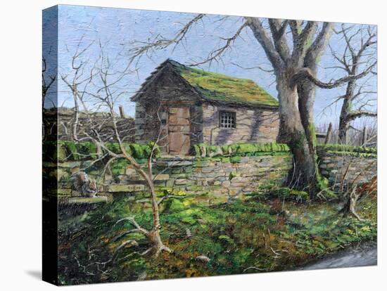 Stone Barn, Alport, Derbyshire, 2009-Trevor Neal-Premier Image Canvas