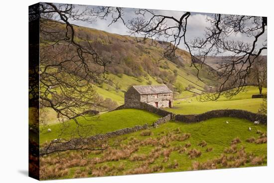 Stone Barn in the Swaledale Area of the Yorkshire Dales National Park-Julian Elliott-Premier Image Canvas