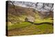 Stone Barn in the Swaledale Area of the Yorkshire Dales National Park-Julian Elliott-Premier Image Canvas