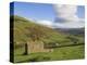 Stone Barns in Swaledale, Near Keld, Yorkshire Dales National Park, Yorkshire, England, UK-Neale Clarke-Premier Image Canvas