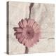 Stone Blossom I-Jason Johnson-Premier Image Canvas