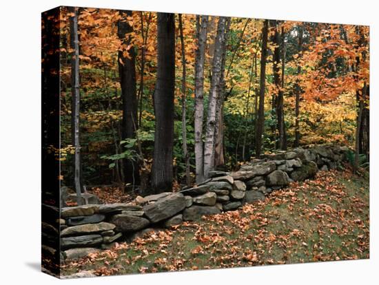 Stone Fence in Vermont, USA-Charles Sleicher-Premier Image Canvas