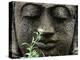 Stone Garden Statue with Flower-Matt Freedman-Premier Image Canvas