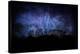 Stone Henge Lightning-rolffimages-Stretched Canvas