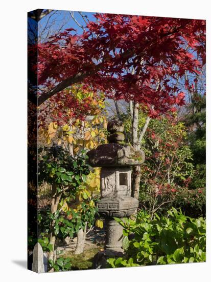 Stone Lantern and Autumnal Maple Tree in a Garden at Ritsuin Temple, Satobo, Japan-null-Premier Image Canvas