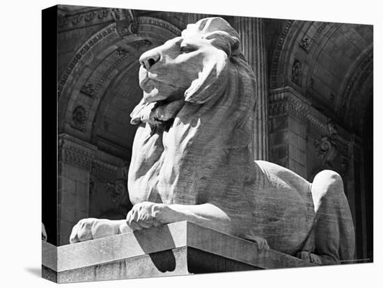 Stone Lion in Front of the New York Public Library-Alfred Eisenstaedt-Premier Image Canvas