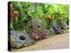 Stone Money Bank, Yap, Micronesia, Pacific-Nico Tondini-Premier Image Canvas