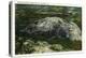 Stone Mountain, Georgia - Aerial View of the Mountain-Lantern Press-Stretched Canvas