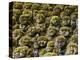 Stone Statues in Otagi Nebutsuji Temple in Kyoto-Rudy Sulgan-Premier Image Canvas