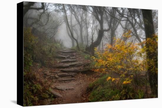 Stone Steps-Danny Head-Premier Image Canvas