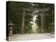 Stone Torii, Tosho-Gu Shrine, Nikko, Central Honshu, Japan-Schlenker Jochen-Premier Image Canvas