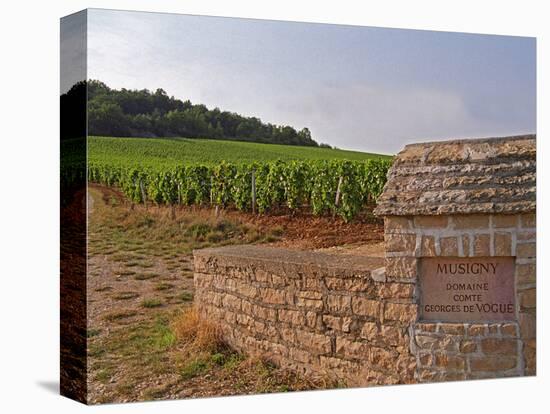 Stone Wall and Sign in the Vineyard Musigny, Domaine Comte Georges De Vogue, France-Per Karlsson-Premier Image Canvas