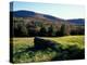 Stone Wall in the Green Mountains, Vermont, USA-Jerry & Marcy Monkman-Premier Image Canvas