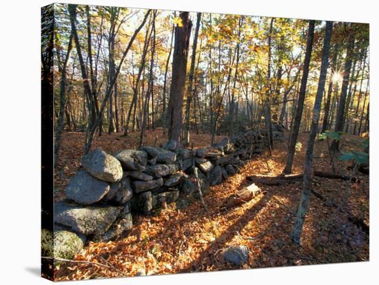 Stone Wall, Nature Conservancy Land Along Crommett Creek, New Hampshire, USA-Jerry & Marcy Monkman-Premier Image Canvas