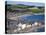 Stonehaven Bay and Quayside from Harbour View, Stonehaven, Aberdeenshire, Scotland, UK, Europe-Mark Sunderland-Premier Image Canvas