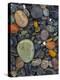 Stones, Lopez Island, Agate Beach County, Washington, USA-Charles Gurche-Premier Image Canvas