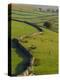 Stonewalls and Sheep, Near Ribblehead, Yorkshire, England, UK, Europe-Upperhall Ltd-Premier Image Canvas