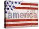 Stonewashed America-Diane Stimson-Stretched Canvas