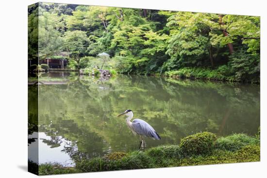 Stork at Hisagoike Pond in Summer, Kenrokuen, One of Japan's Three Most Beautiful Landscape Gardens-Eleanor Scriven-Premier Image Canvas