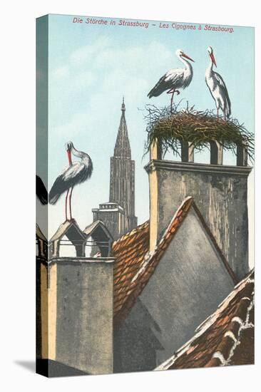 Storks in Strasbourg, France-null-Stretched Canvas