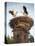 Storks on Top of Chimney in Town of Lenzen, Brandenburg, Germany, Europe-Richard Nebesky-Premier Image Canvas