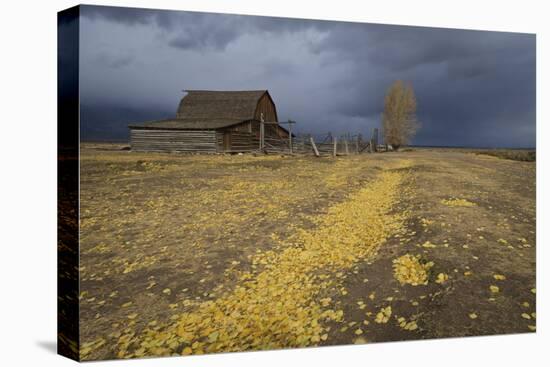 Storm Approaches-Eleanor-Premier Image Canvas