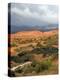 Storm at Coral Pink Sand Dunes State Park, Utah, USA-Diane Johnson-Premier Image Canvas