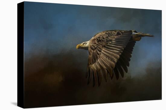 Storm Chaser Bald Eagle-Jai Johnson-Premier Image Canvas