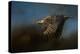 Storm Chaser Bald Eagle-Jai Johnson-Premier Image Canvas
