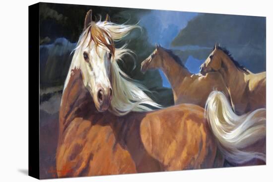 Storm Chasers-Carolyne Hawley-Stretched Canvas