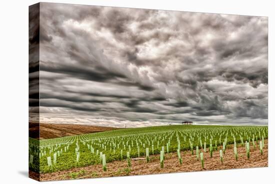 Storm Clouds Gather over Southwind, Walla Walla, Washington, USA-Richard Duval-Premier Image Canvas