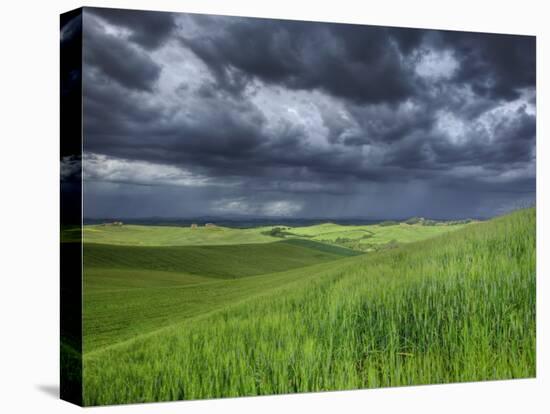Storm Clouds over Agricultural Wheat Field, Tuscany, Italy-Adam Jones-Premier Image Canvas