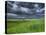 Storm Clouds over Agricultural Wheat Field, Tuscany, Italy-Adam Jones-Premier Image Canvas