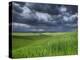 Storm Clouds over Agricultural Wheat Field, Tuscany, Italy-Adam Jones-Premier Image Canvas