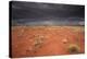 Storm Clouds Over Desert-Robbie Shone-Premier Image Canvas