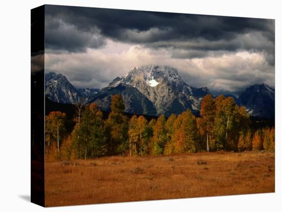 Storm Clouds Over Mountains and Trees, Grand Teton National Park, USA-Carol Polich-Premier Image Canvas