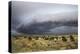 Storm Clouds Threaten the Kalahari, Kgalagadi Transfrontier Park in Summer, Northern Cape-Ann and Steve Toon-Premier Image Canvas