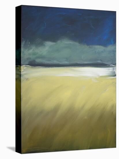 Storm Comin In-Tim Nyberg-Premier Image Canvas