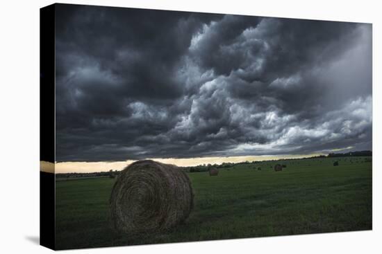 Storm coming into the field-Michael Scheufler-Premier Image Canvas