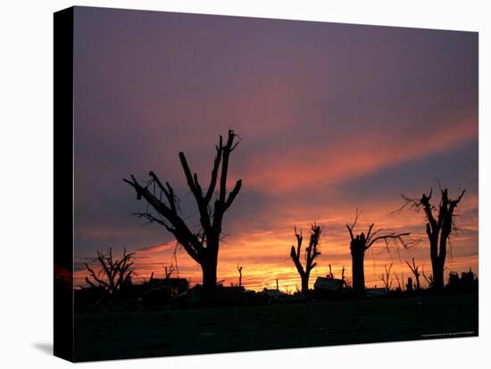 Storm Damaged Trees Silhouetted against the Setting Sun, Greensburg, Kansas, c.2007-Charlie Riedel-Premier Image Canvas